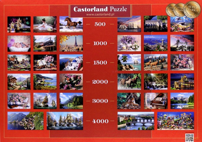 CASTOR 1000 EL. At The Rose Garden [PUZZLE]