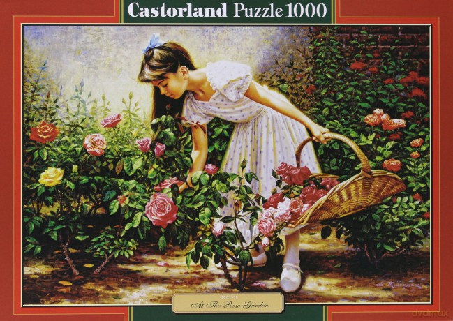 CASTOR 1000 EL. At The Rose Garden [PUZZLE]