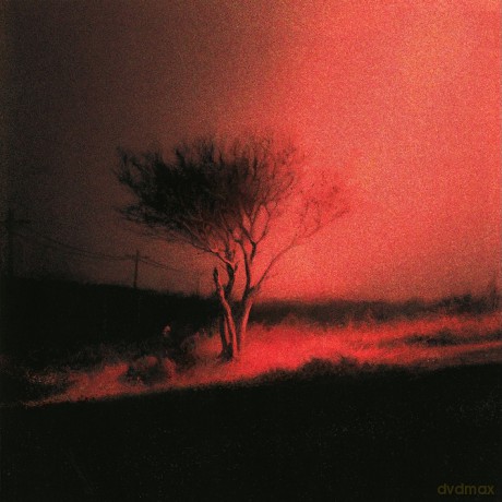 Joji: Piss In The Wind [CD]