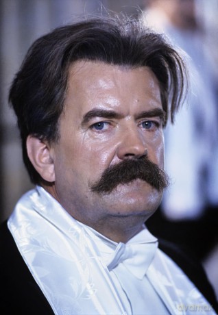Albert Schweitzer - Der legendäre ARD-Vierteiler [DVD]