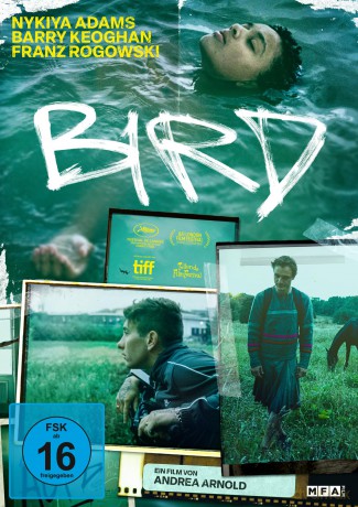 Bird [DVD]