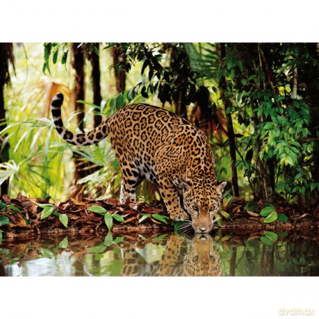 CLEMENTONI 2000 EL. Leopard [PUZZLE]