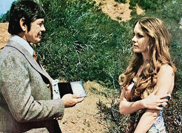Charles Bronson - Die legendäre Action-Klassiker Collection [Blu-Ray]