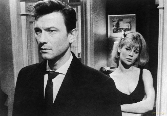 Darling [DVD]