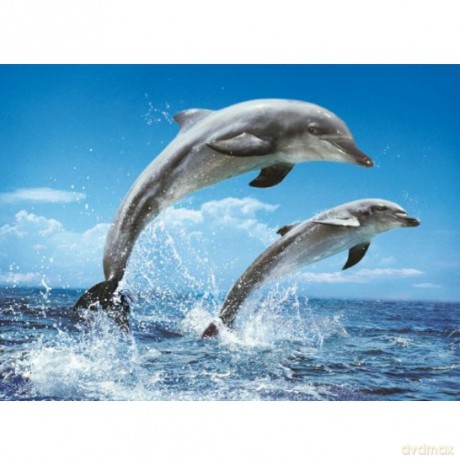 CLEMENTONI 1000 EL. Delfiny [PUZZLE]