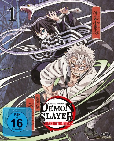 Demon Slayer: Kimetsu no Yaiba Hashira Training Arc - Vol.1 - [Blu-Ray]
