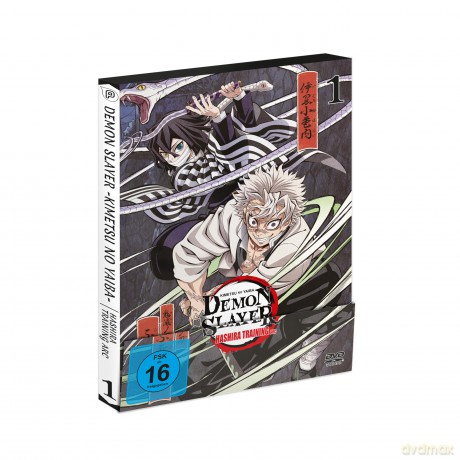 Demon Slayer: Kimetsu no Yaiba Hashira Training Arc - Vol.1 - [DVD]