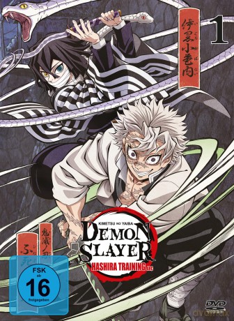 Demon Slayer: Kimetsu no Yaiba Hashira Training Arc - Vol.1 - [DVD]