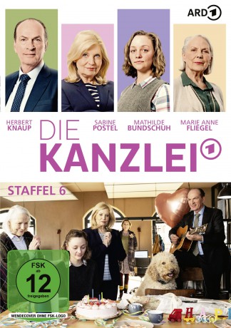 Die Kanzlei - Staffel 6 [DVD]