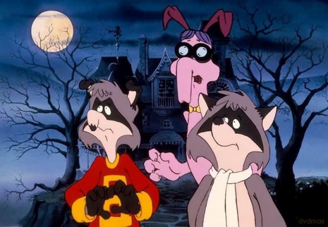 Die Raccoons - Die komplette Zeichentrickserie [DVD]
