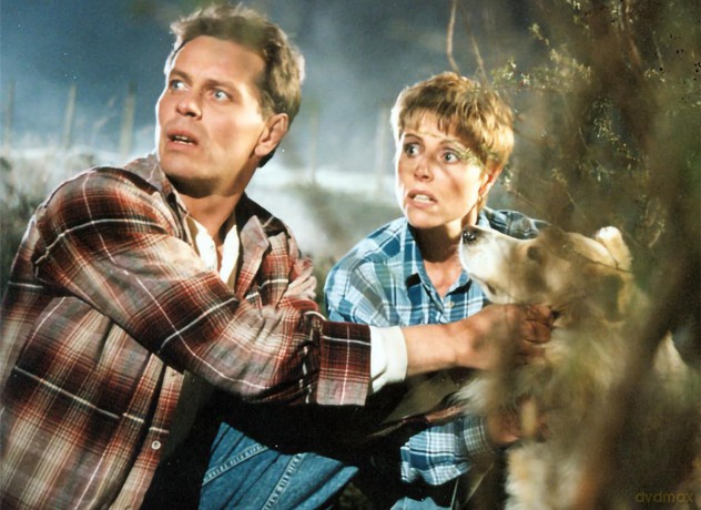 Die verwegenen Vier - Komplette Kult-TV-Serie nach Enid Blyton [DVD]