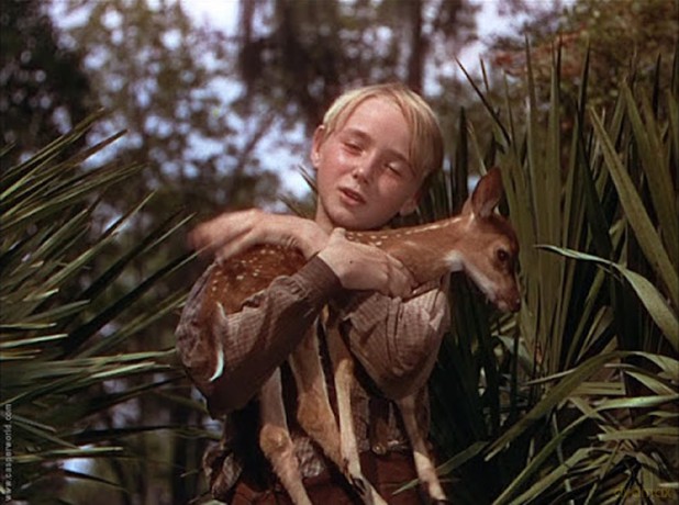 Die Wildnis ruft [Blu-Ray]