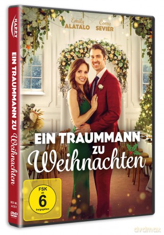 Ein Traummann zu Weihnachten [DVD]