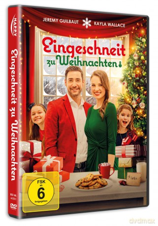 Eingeschneit zu Weihnachten [DVD]