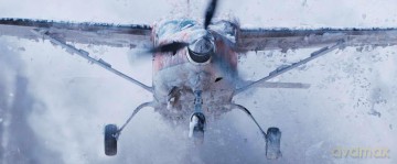 Flight Risk [DVD]