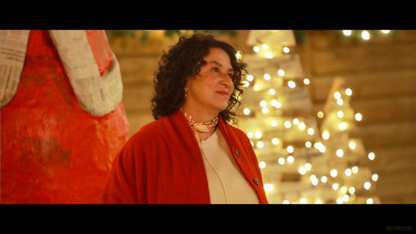 Frohes Fest - Weihnachten retten wir die Welt [DVD]