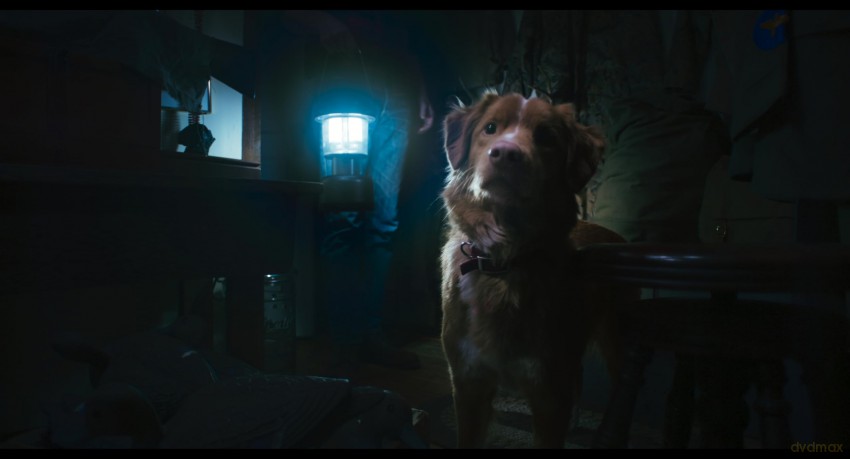 Good Boy - Trust his instincts [Blu-Ray]