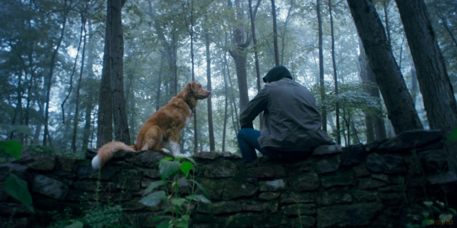 Good Boy - Trust his instincts [Blu-Ray]