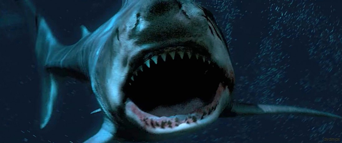 Great White Waters [DVD]