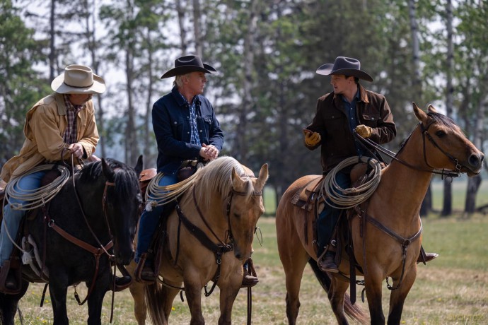 Heartland - Paradies für Pferde, Staffel 17 [DVD]