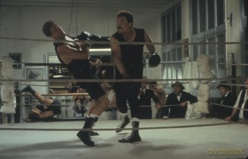 Hemingway - Der legendäre ZDF-Vierteiler mit Stacy Keach [DVD]
