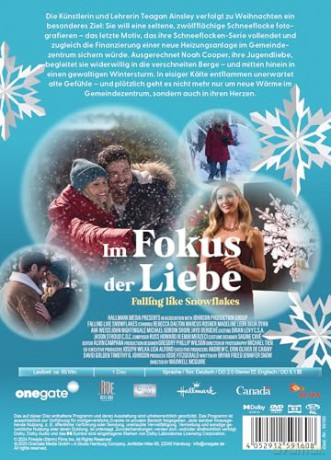 Im Fokus der Liebe - Falling Like Snowflakes [DVD]