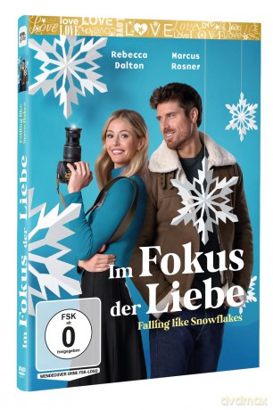 Im Fokus der Liebe - Falling Like Snowflakes [DVD]