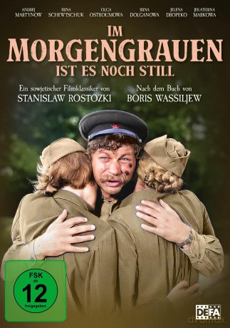 Im Morgengrauen ist es noch still [DVD]