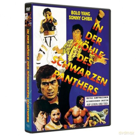 In der Höhle des schwarzen Panthers [DVD]