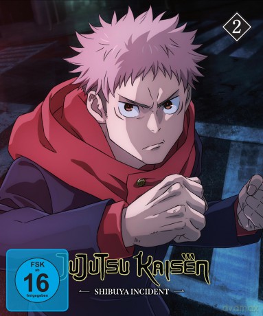 Jujutsu Kaisen - Shibuya Incident - Staffel 2 - Vol.2 - DVD [DVD]