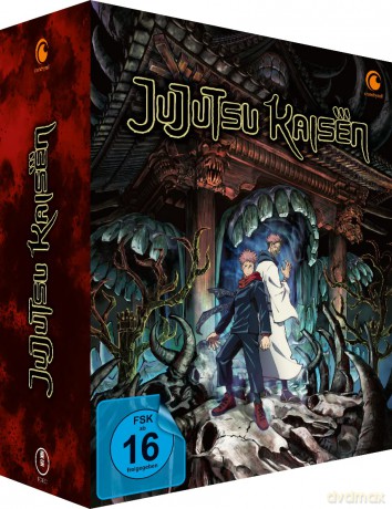 Jujutsu Kaisen - Staffel 1 - Gesamtausgabe - [DVD]