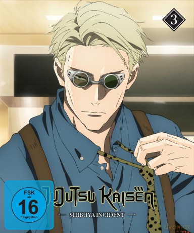 Jujutsu Kaisen: Shibuya Incident - Staffel 2 - Vol.3 - [DVD]