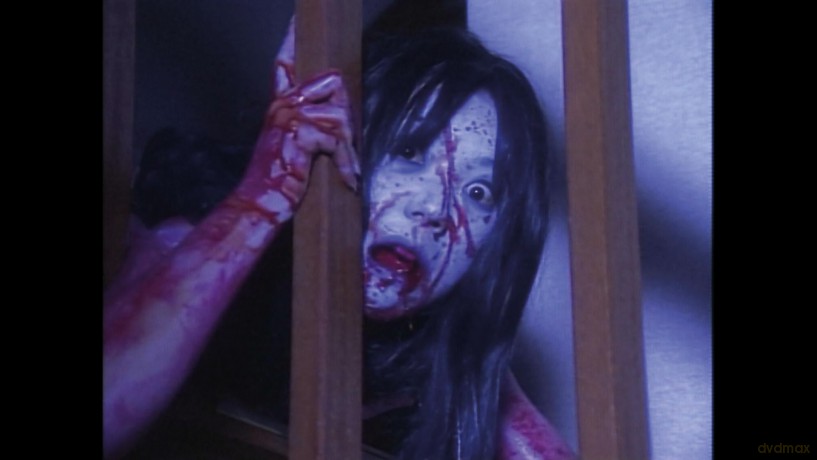 Ju-On: The Curse 1&2 [DVD]