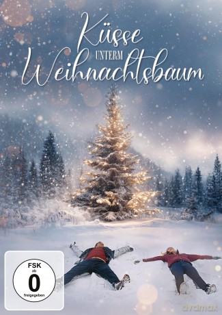 Küsse unterm Weihnachtsbaum [DVD]