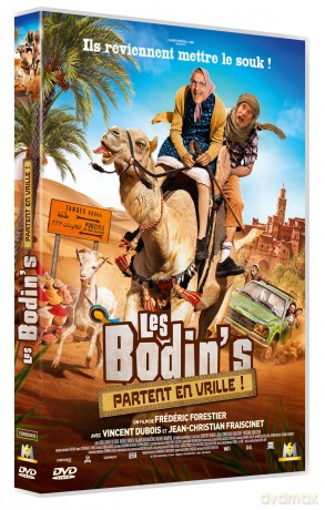 Les Bodin's partent en vrille [DVD]