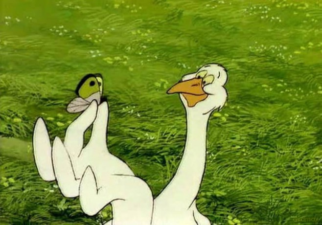Matyi, der Gänsejunge [DVD]