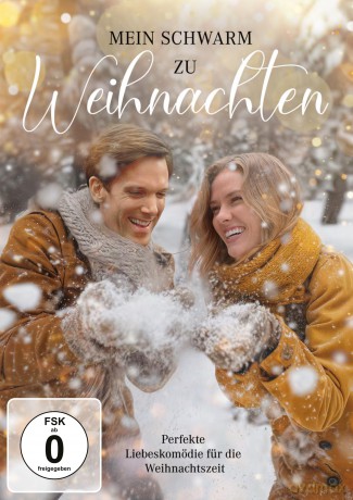 Mein Schwarm zu Weihnachten [DVD]
