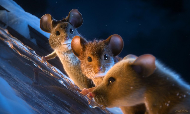 Mission: Mäusejagd [DVD]