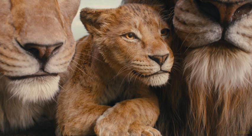 Mufasa: The Lion King (Mufasa: Król Lew) (steelbook) [Blu-Ray 4K]+[Blu-Ray]