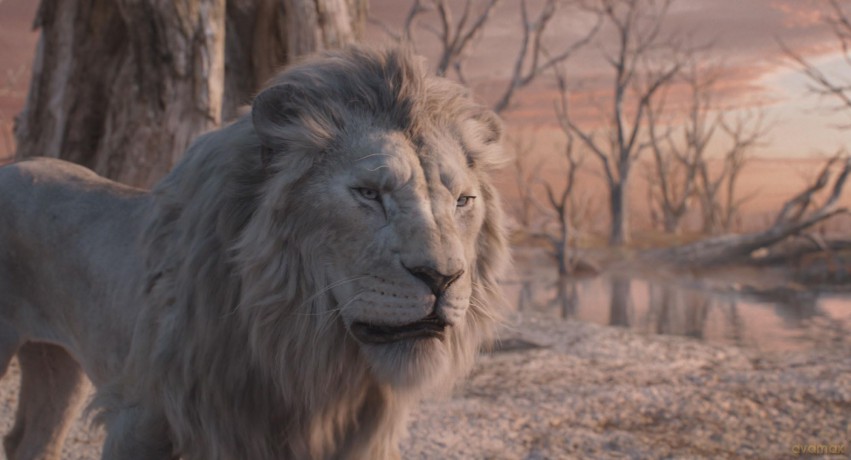 Mufasa: The Lion King (Mufasa: Król Lew) (steelbook) [Blu-Ray 4K]+[Blu-Ray]