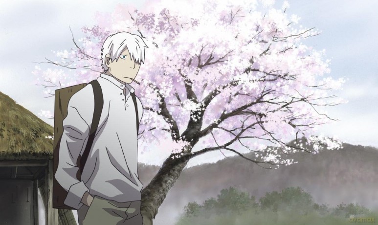 Mushi-Shi - Die komplette erste Staffel LTD. - Mit allen 26 Episoden und Fan-Beigaben! - LImited Edition [DVD]