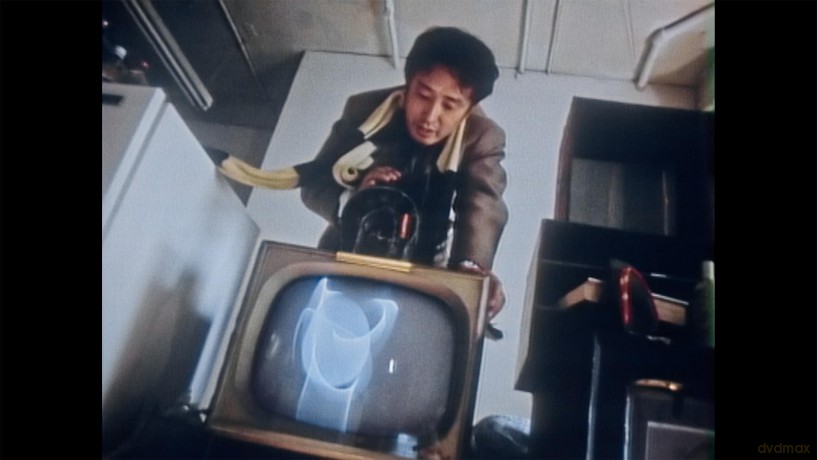 Nam June Paik: Moon Is The Oldest TV [DVD]