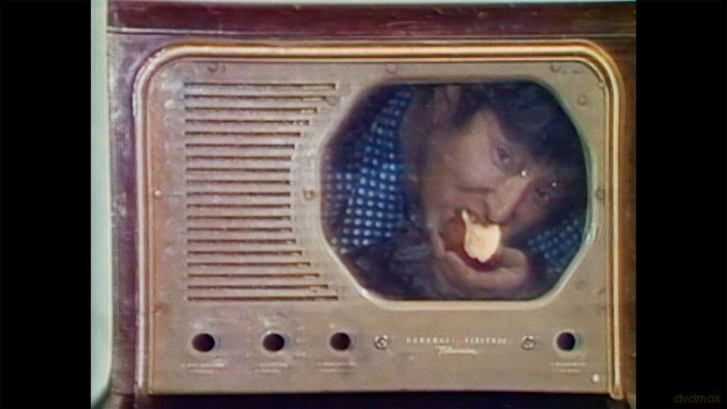 Nam June Paik: Moon Is The Oldest TV [DVD]
