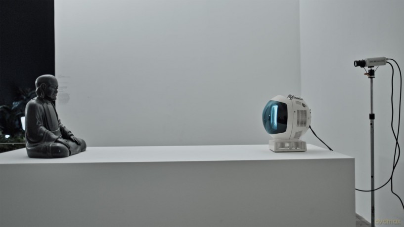 Nam June Paik: Moon Is The Oldest TV [DVD]
