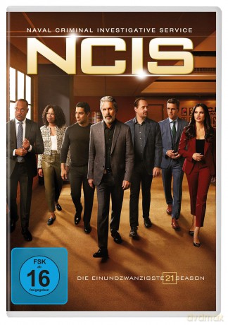 NCIS - Staffel 21 [DVD]