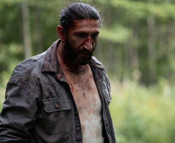 Partisan - Die komplette Serie - Preisgekrönter skandinavischer Thriller mit Fares Fares [DVD]