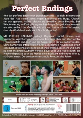 Perfect Endings [DVD]