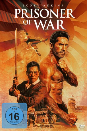 Prisoner of War [DVD]