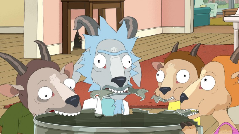 Rick and Morty: Die komplette 8. Staffel [DVD]