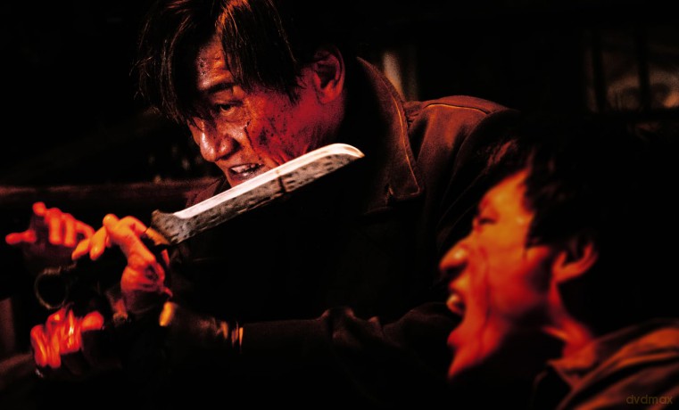 Shadow Chase - Im Netz der Diebe [Blu-Ray]